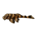 L052 Atabapo Butterfly Pleco | Dekeyseria picta