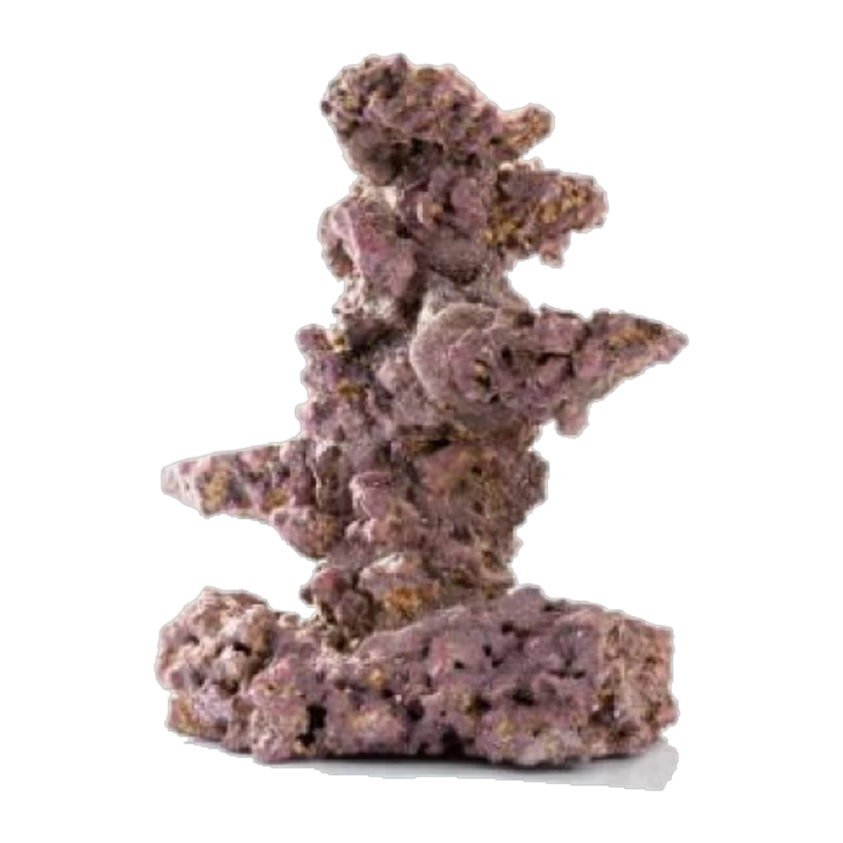 Life Rock Coral Tree