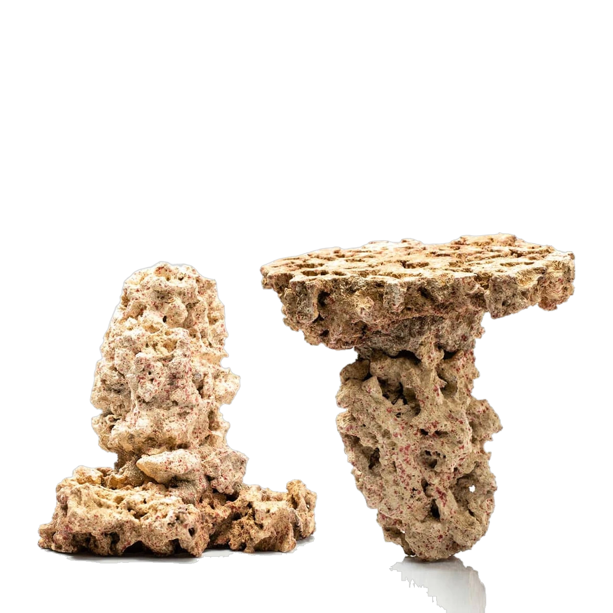 Life Rock Dry Live Rock Shrooms (2/Box)