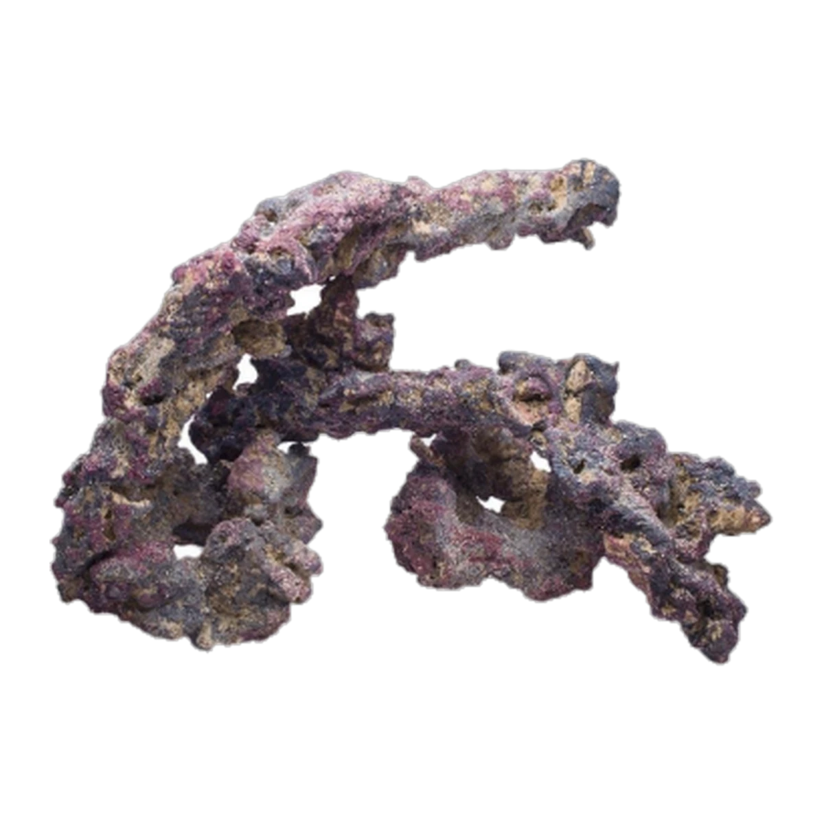 Life Rock Shapes 20lb (9kg)