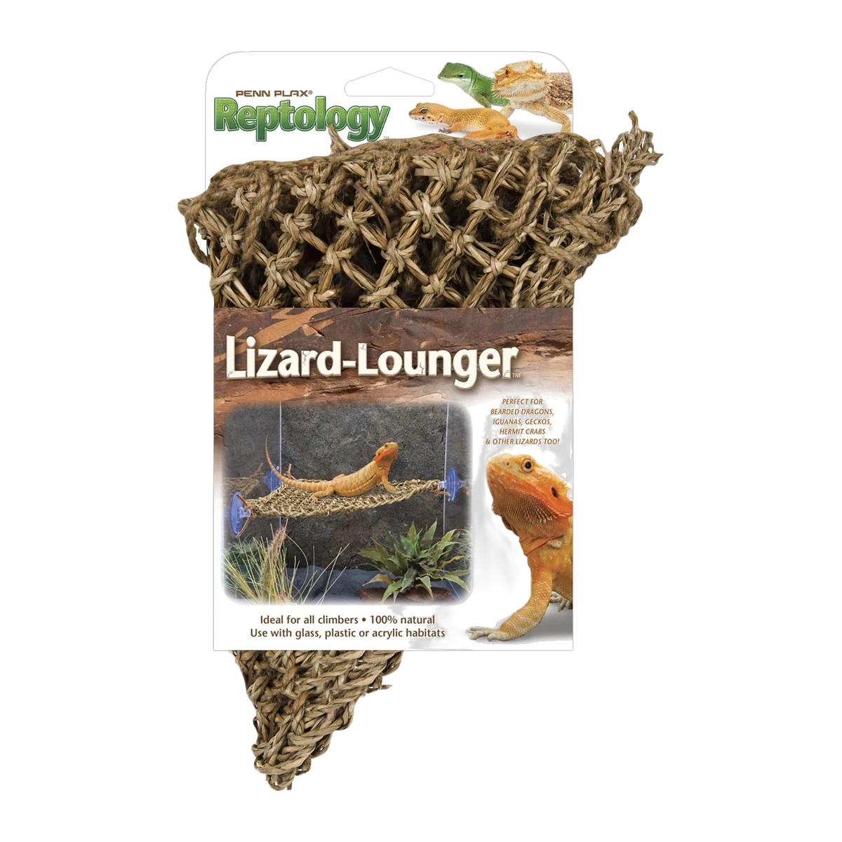 Lizard Lounger 27 x 20cm