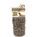Lizard Lounger Sun Lover 36cm x 28cm