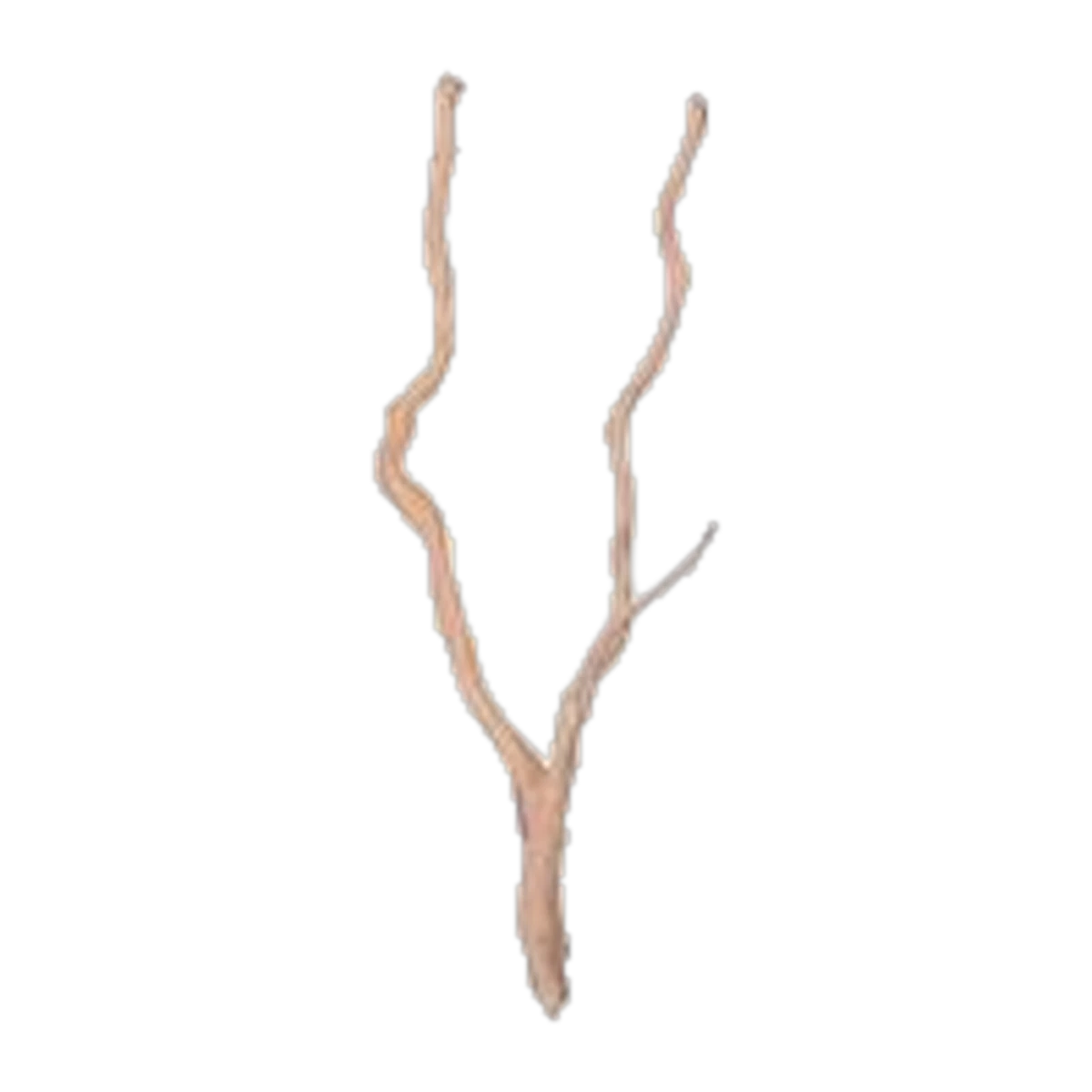 Long Spider Wood 60cm