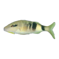 Manybar Goatfish | Parupeneus multifasciatus