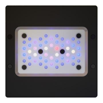 Radion XR15 Gen6 BLUE