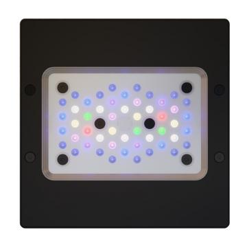 Radion XR15 Gen6 PRO