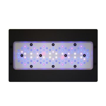 Radion XR30 Gen6 BLUE