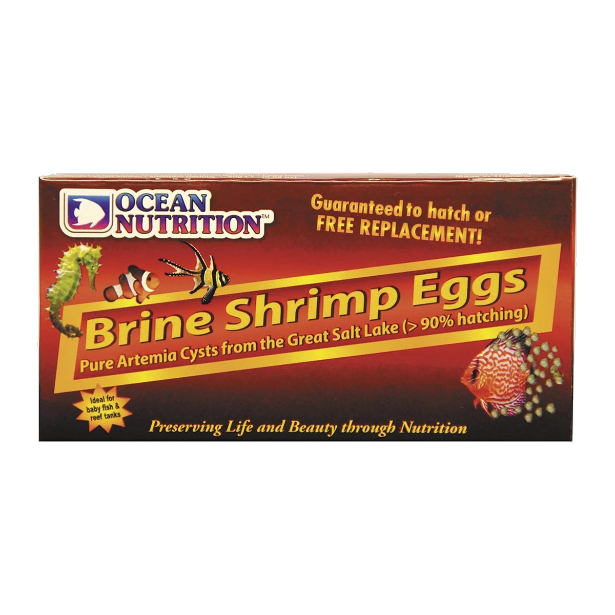 Ocean Nutrition Brine Shrimp Eggs (Box)