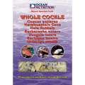 Ocean Nutrition Frozen Whole Cockle