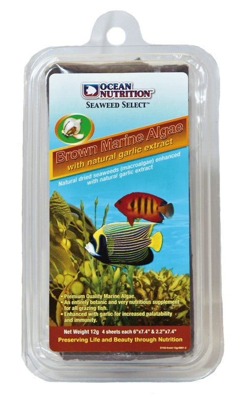 Brown Seaweed (Brown Marine Algae)