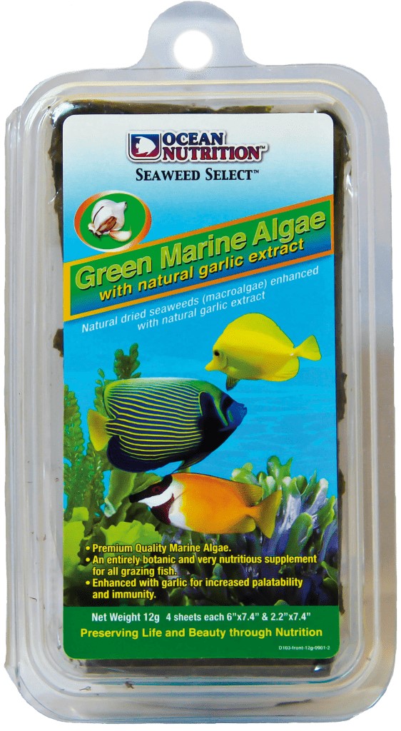 Green Seaweed (Green Marine Algae)