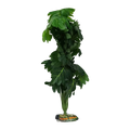 Philo Bush XL 45-50cm