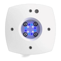 Prime 16 Sol White