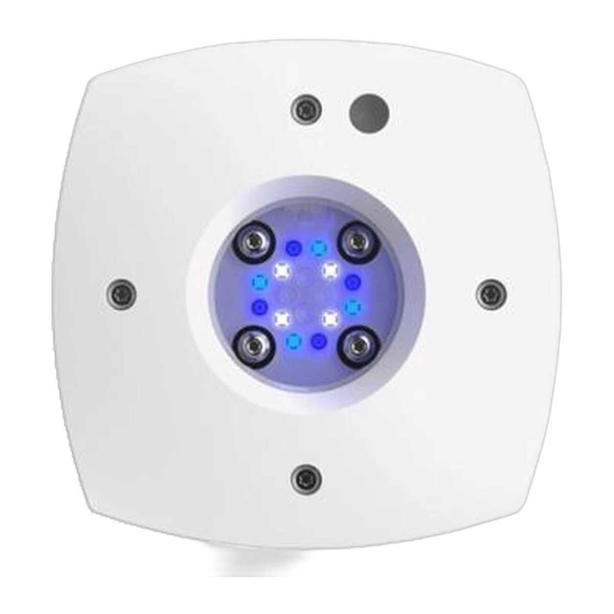 Prime 16 Sol White