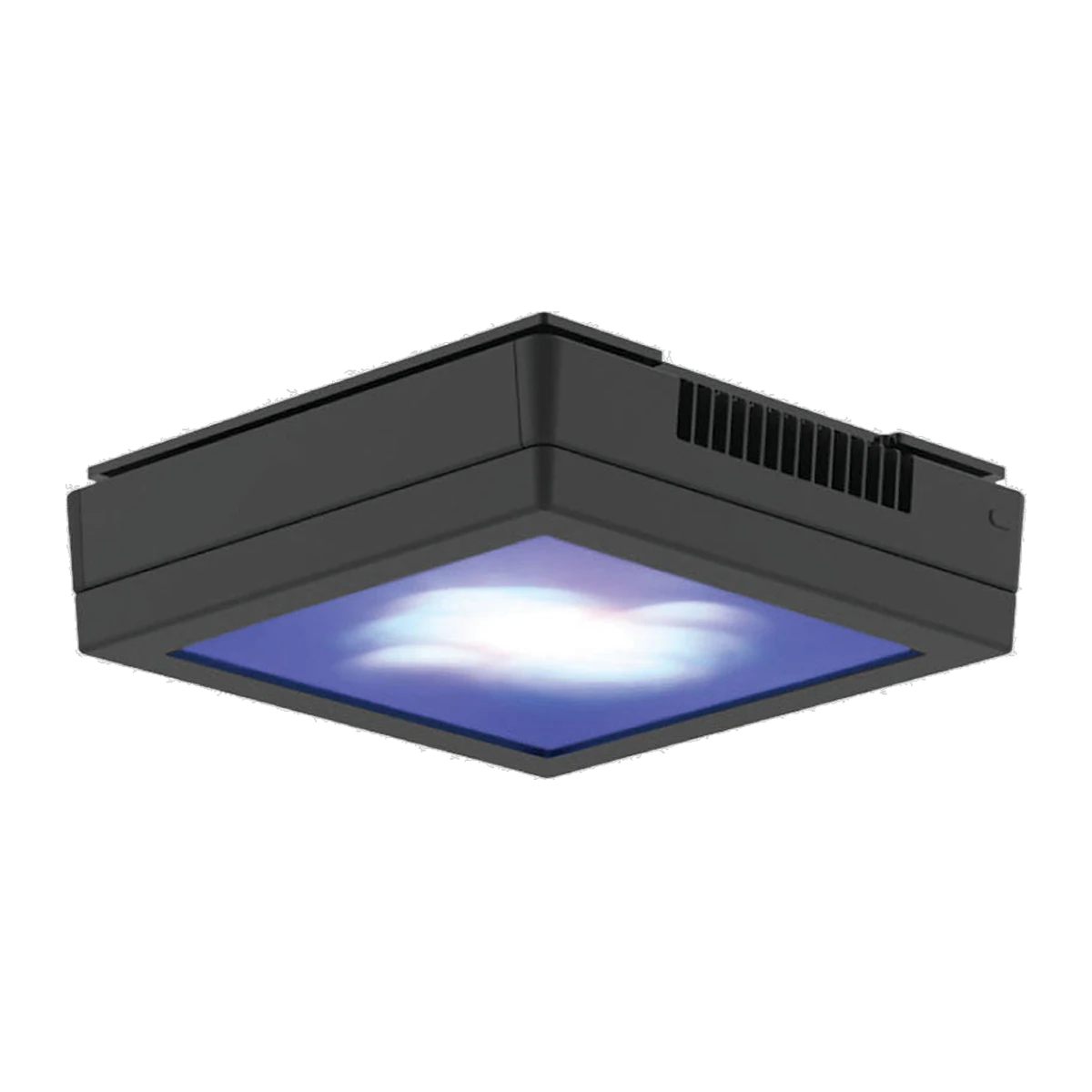 Radion (G1-G4) Diffuser