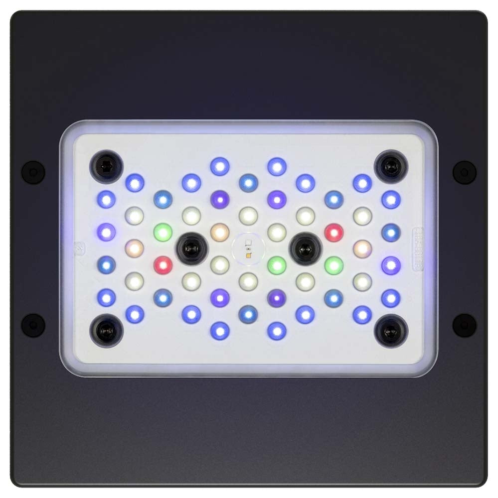 Radion XR15 Blue LED