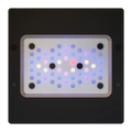 Radion XR15 Blue LED