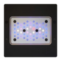 Radion XR15 Gen6 BLUE