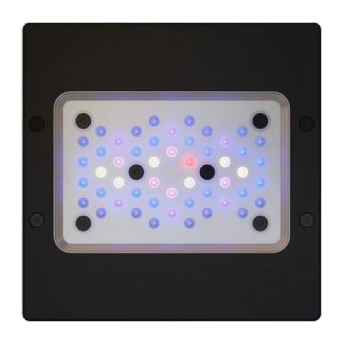 Radion XR15 Gen6 BLUE