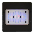 Radion XR15 Gen6 PRO