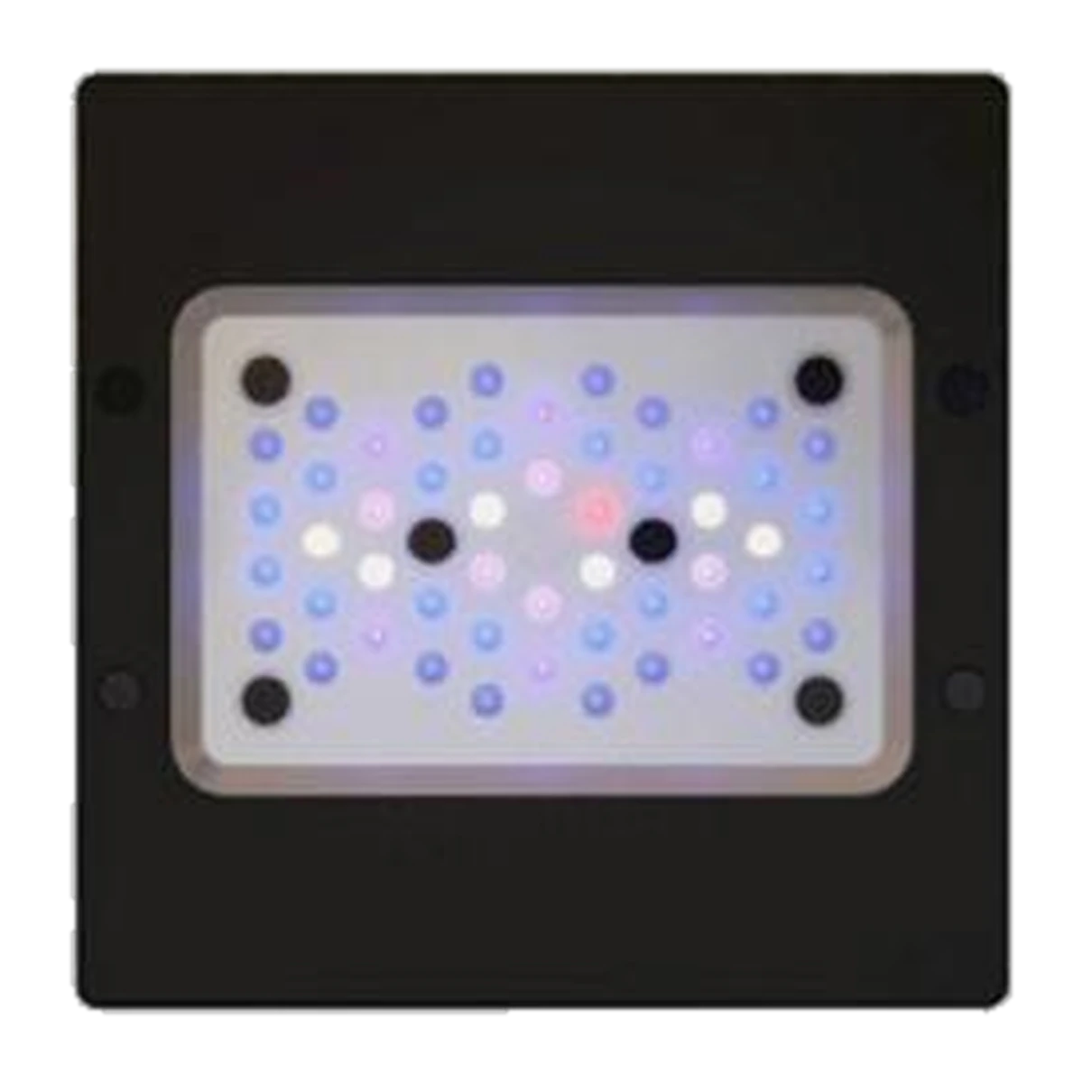 Radion XR15 Gen6 PRO