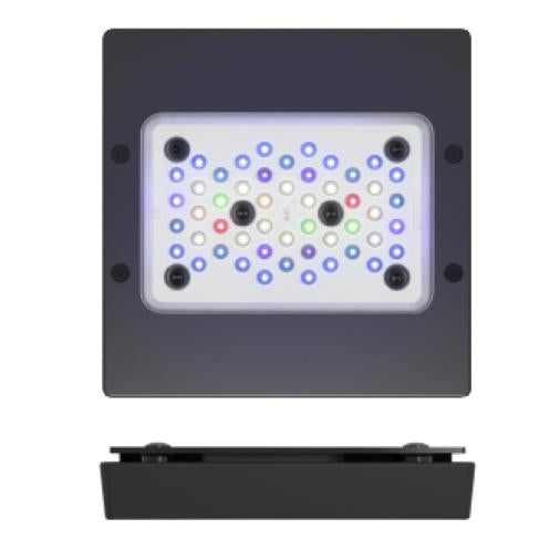 Radion XR15 PRO LED