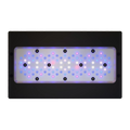 Radion XR30 BLUE LED