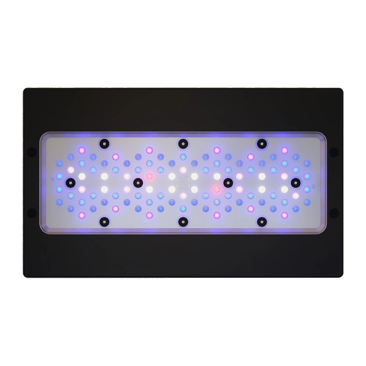 Radion XR30 BLUE LED