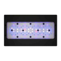 Radion XR30 Gen6 BLUE