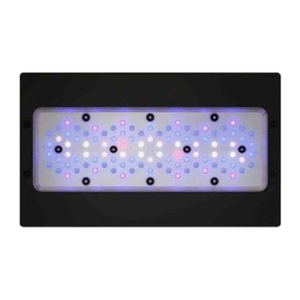 Radion XR30 Gen6 BLUE