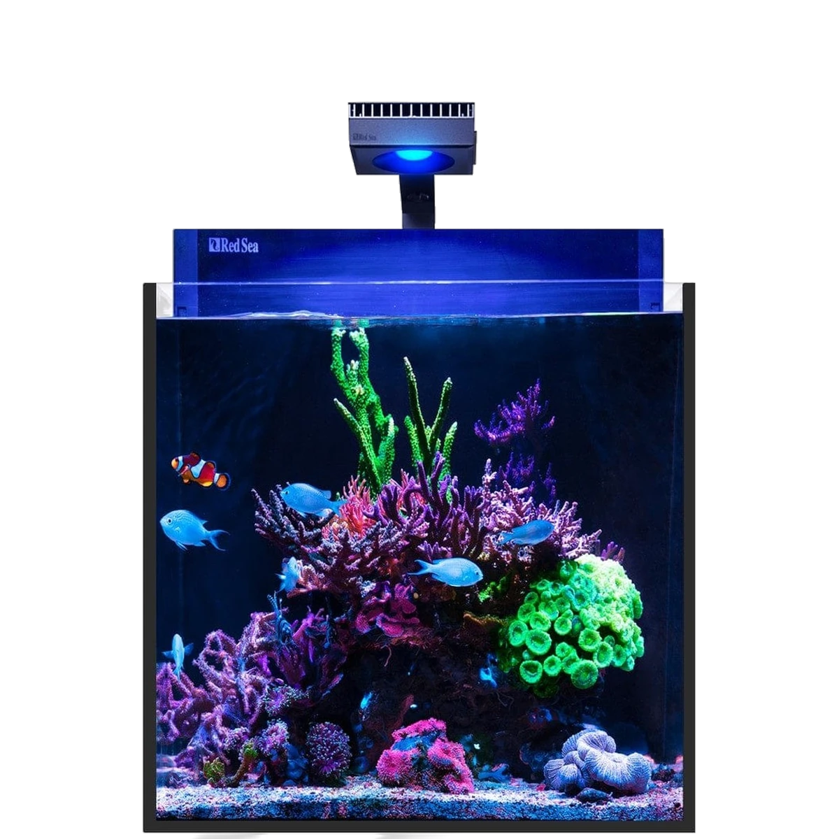 Red Sea Max nano G2 XL 125L