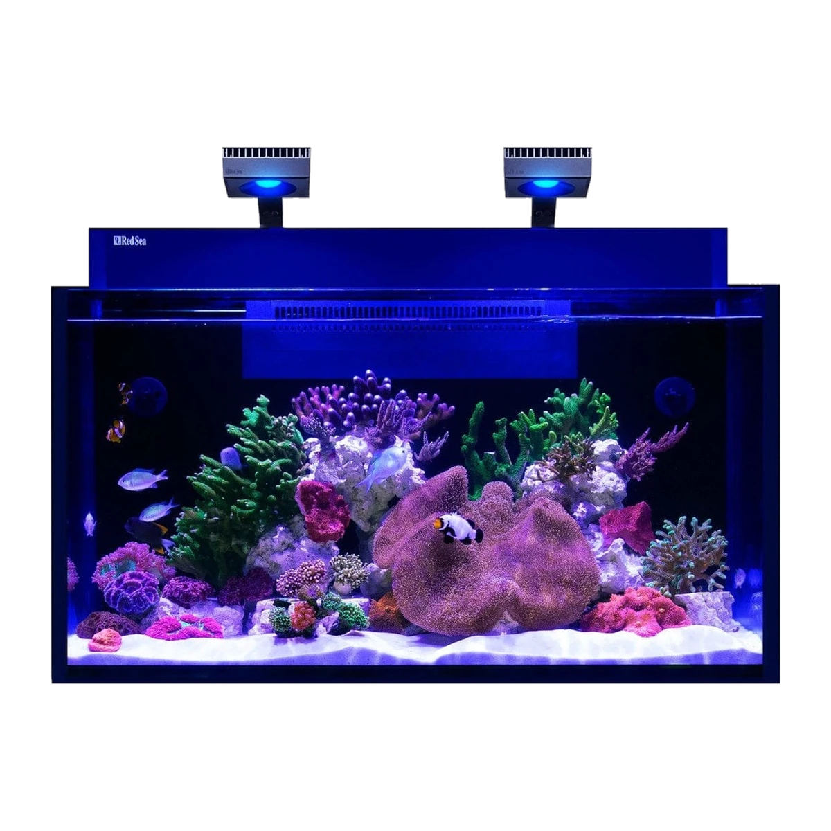 Red Sea Max Nano G2 XXL 200L