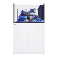 Red Sea Reefer Peninsula 350 g2+ white - 352L