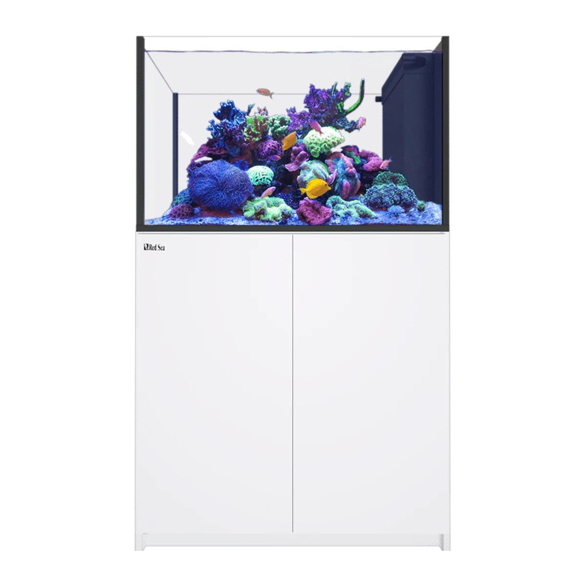 Red Sea Reefer Peninsula 350 g2+ white - 352L