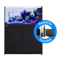 Red Sea Reefer Peninsula 500 g2+ black - 519L