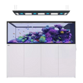 Red Sea Reefer-S Peninsula 950 G2+ White