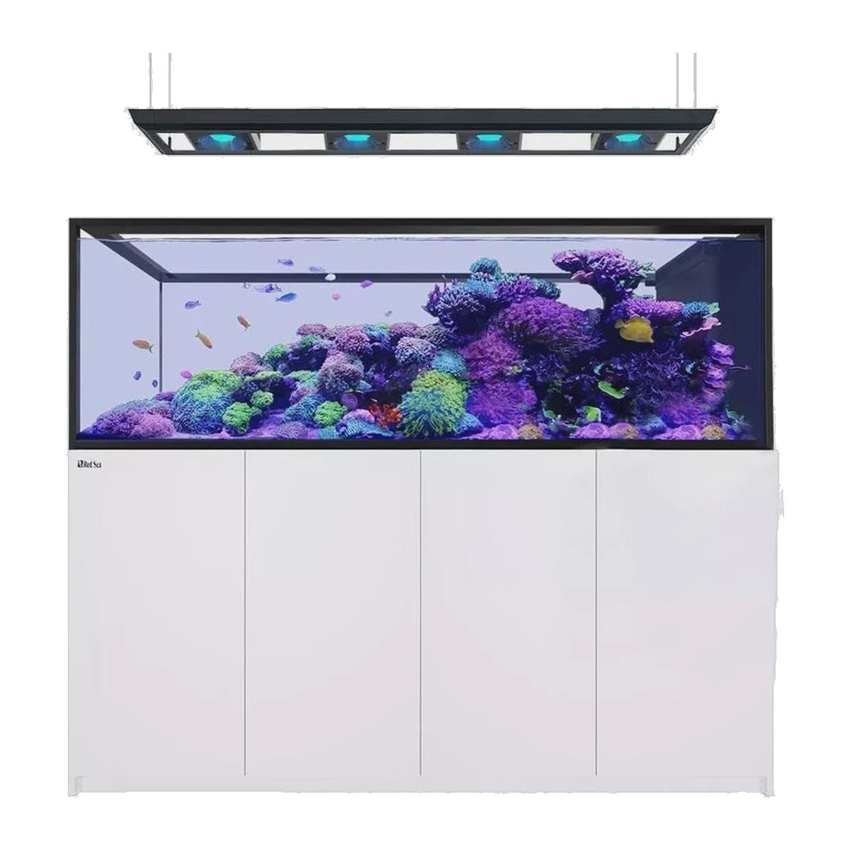 Red Sea Reefer-S Peninsula 950 G2+ White