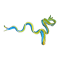 Ribbon Eel | Rhinomuraena quaesita