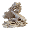 South Seas Shelf Rock Per Kg