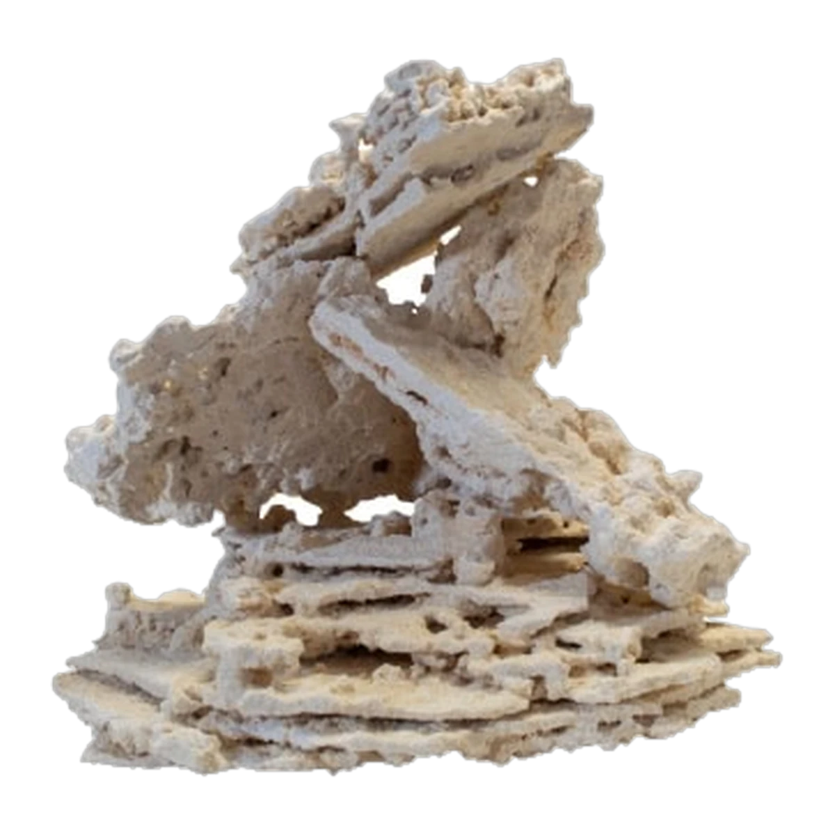 South Seas Shelf Rock Per Kg