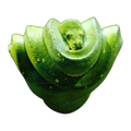 Southern Green Tree Python | Morelia viridis