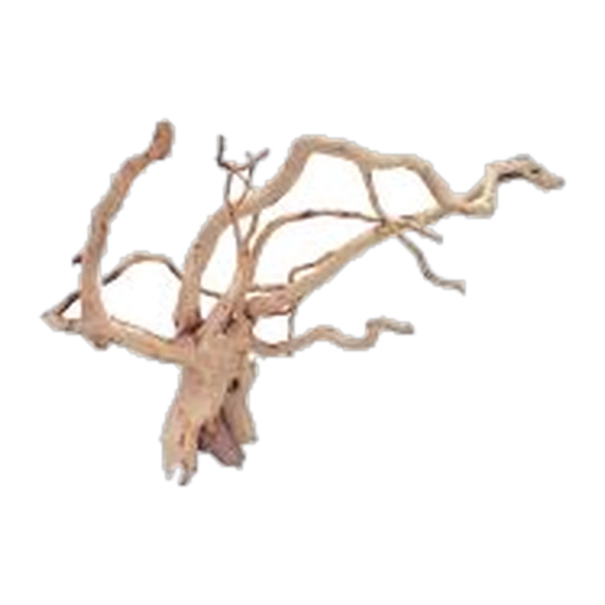 Spider Wood Large