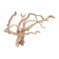 Bioscape Spider Wood Large 40-50cm - box