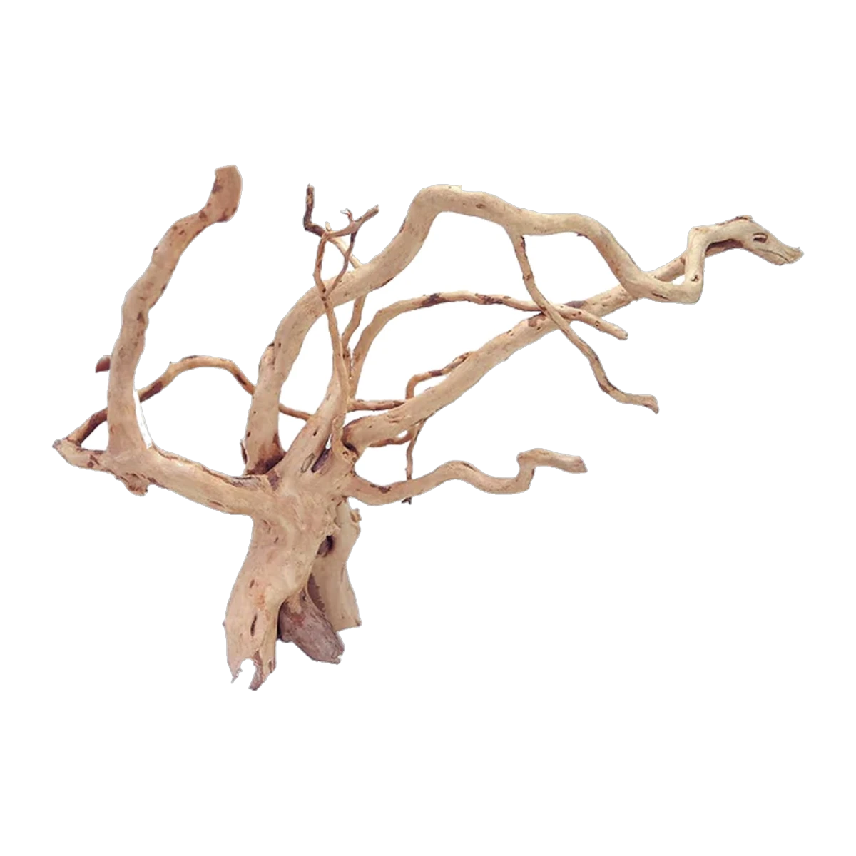 Bioscape Spider Wood Large 40-50cm - box
