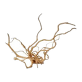 Spider Wood XLarge