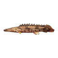 Tiger Birchir