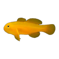 Yellow Coral Goby | Gobiodon okinawae
