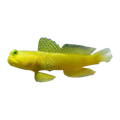 Yellow Watchman Goby | Cryptocentrus cinctus