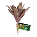 Zoo Med Chestnut Bromeliad
