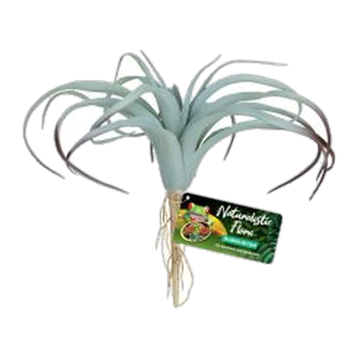 Zoo Med Tillandsia